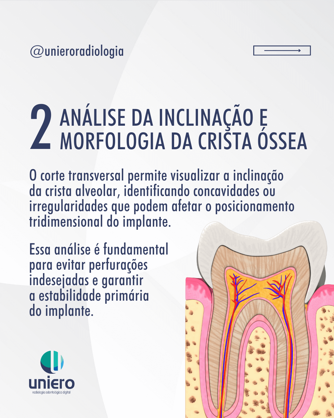 leitura-correta-da-anatomia
