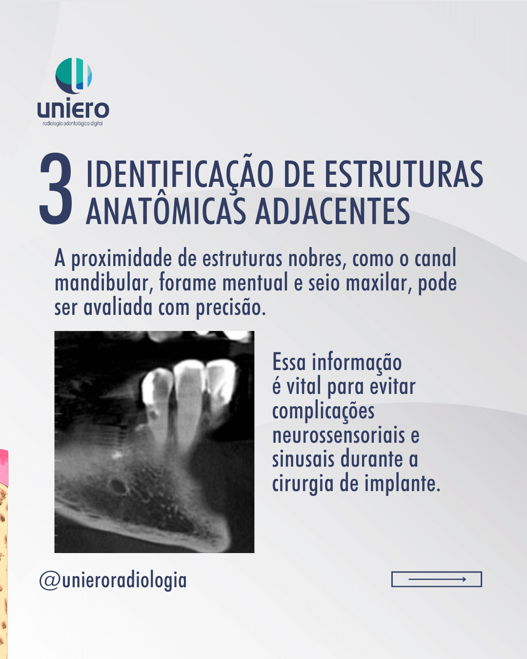 leitura-correta-da-anatomia